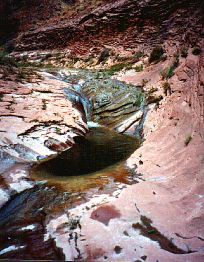 A pool carved out of the Escalante Sandstone