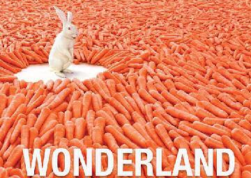 carrot wonderland