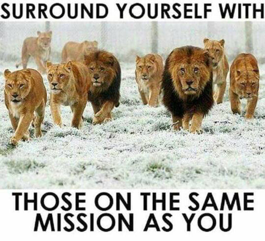 surround yourself with those on the same mission