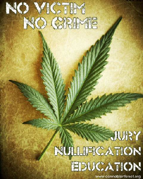 cannabis jury nullification