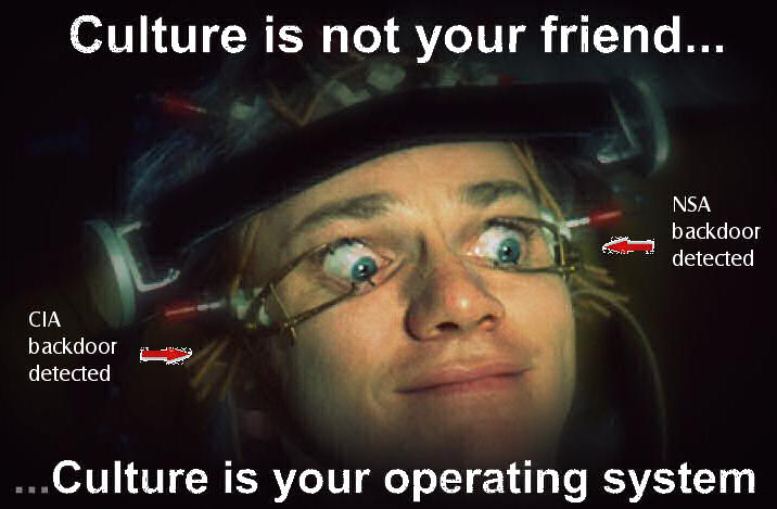 culture is your operating system