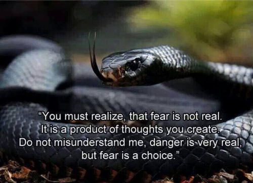 fear is not real whereas danger is real