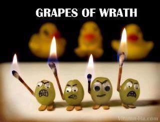 grapes of wrath