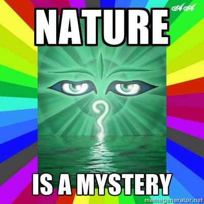 nature is a mystery