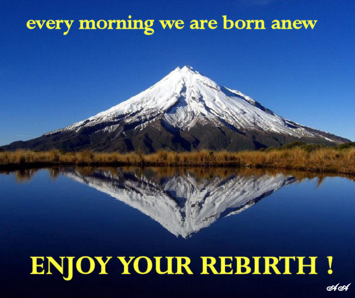 enjoy your rebirth