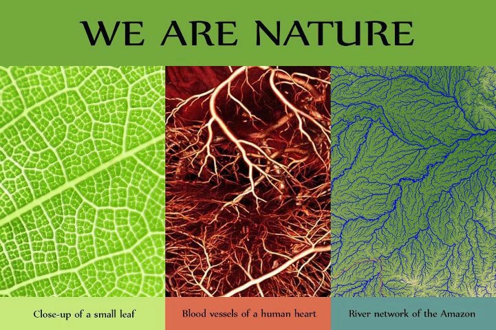 we are part of Nature