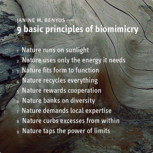 principles of biomimicry