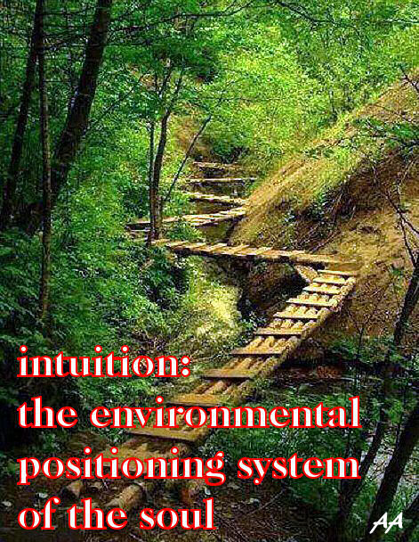intuition: environemntal postioning system of the soul 
