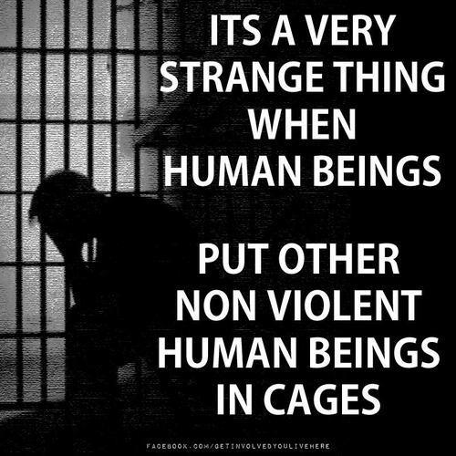 locking up non-violent human bsings