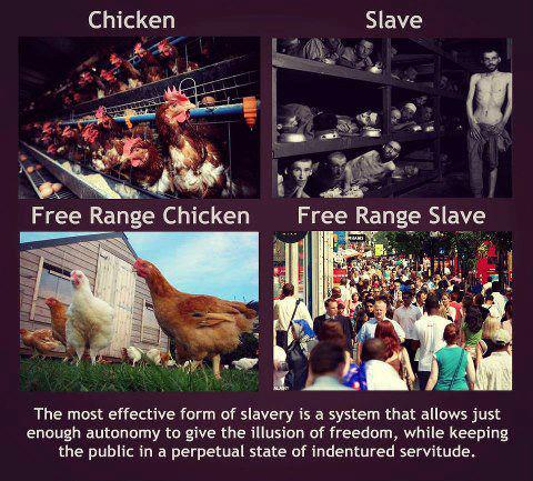 free range humans