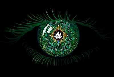 cannabis eye