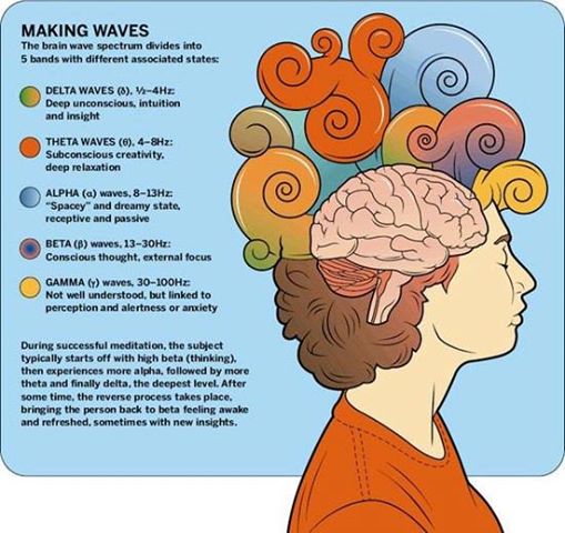 brain waves