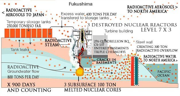 fukushima leak