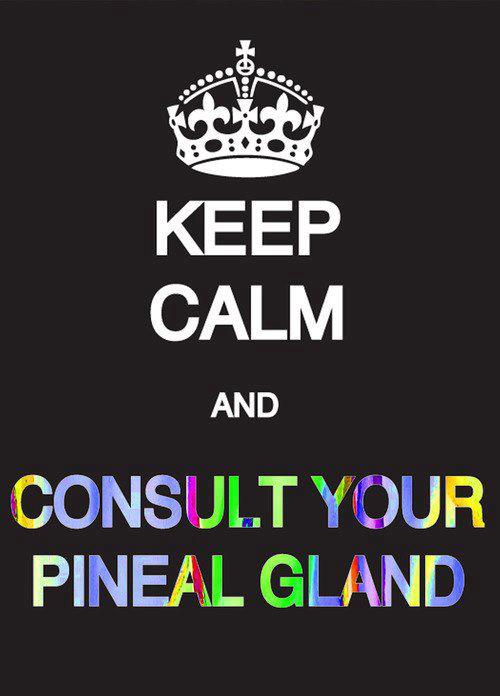 consult your pineal gland 