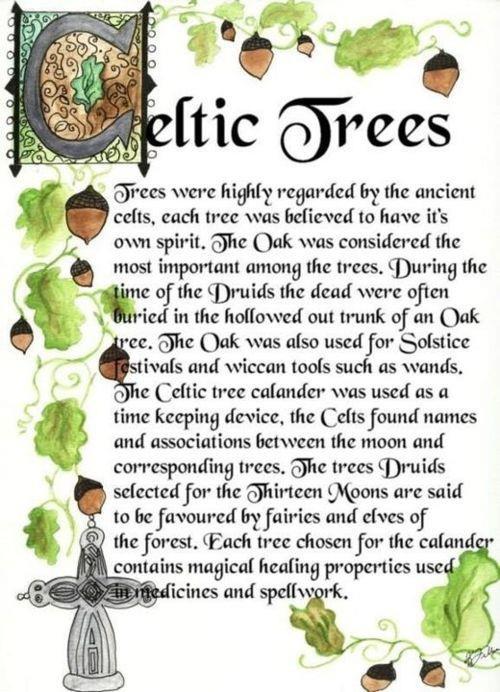 celtic trees