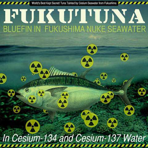 Fukushima irradiated tuna !