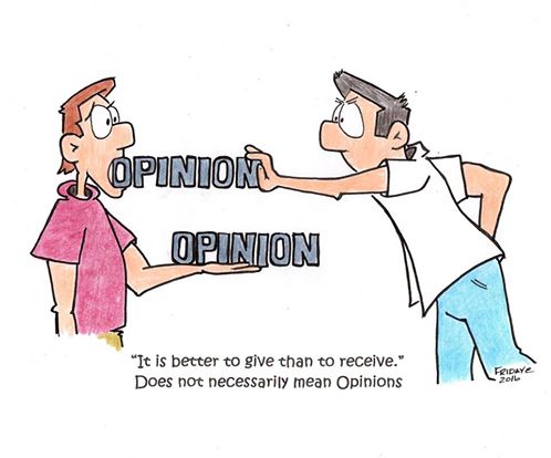 opinion